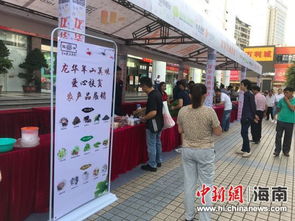 愛心匯聚明珠廣場，2018龍華羊山美味扶貧展銷情暖椰城
